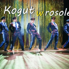 Kogut w rosole