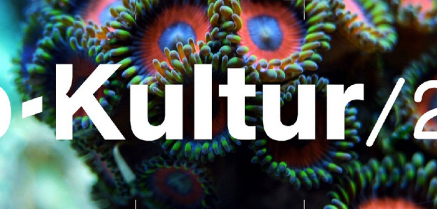 Pop Kultur Festival w Berlinie