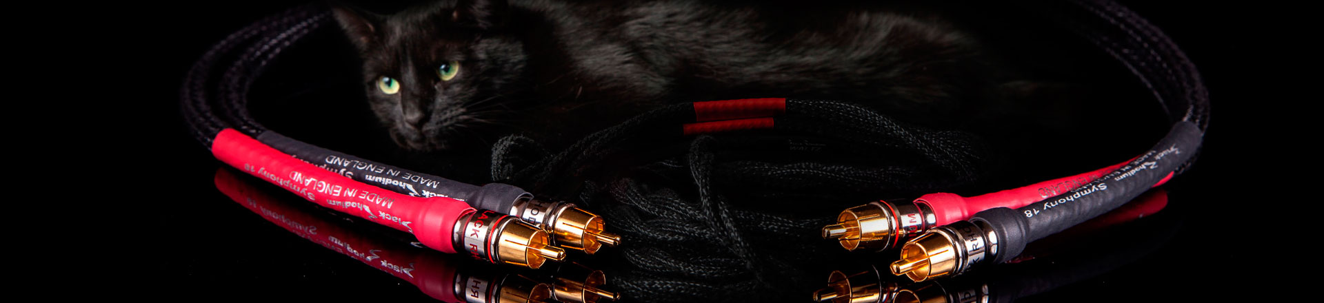 BLACK RHODIUM: SYMPHONY 18 - następca