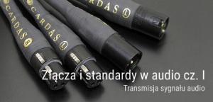 Złącza i standardy w audio cz. I