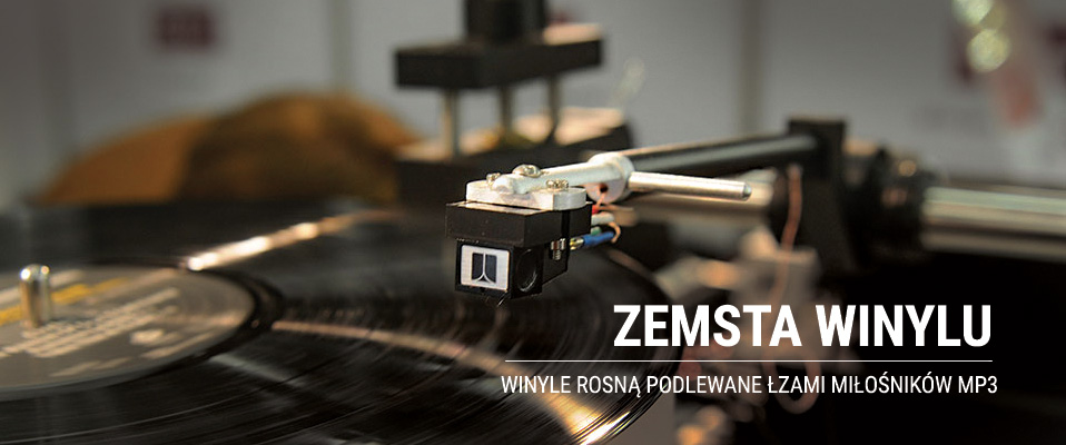 ZEMSTA WINYLU
