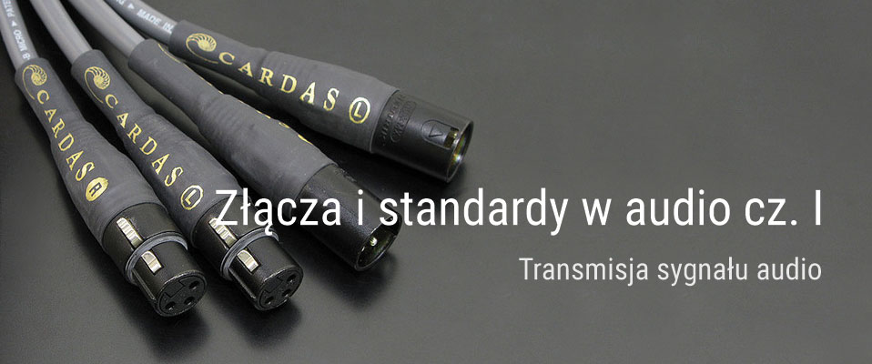 Złącza i standardy w audio cz. I