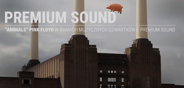 Muzyczne czwartki z Premium Sound