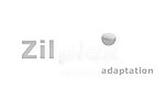 Ziplex