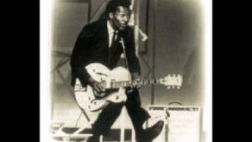 Chuck Berry - You Never Can Tell